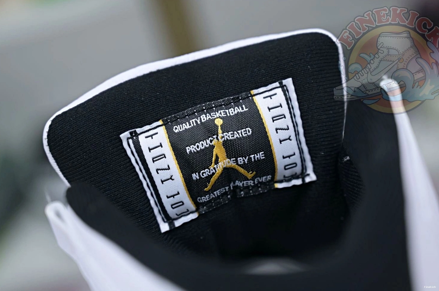 Jordan 11 Jordan DMP 